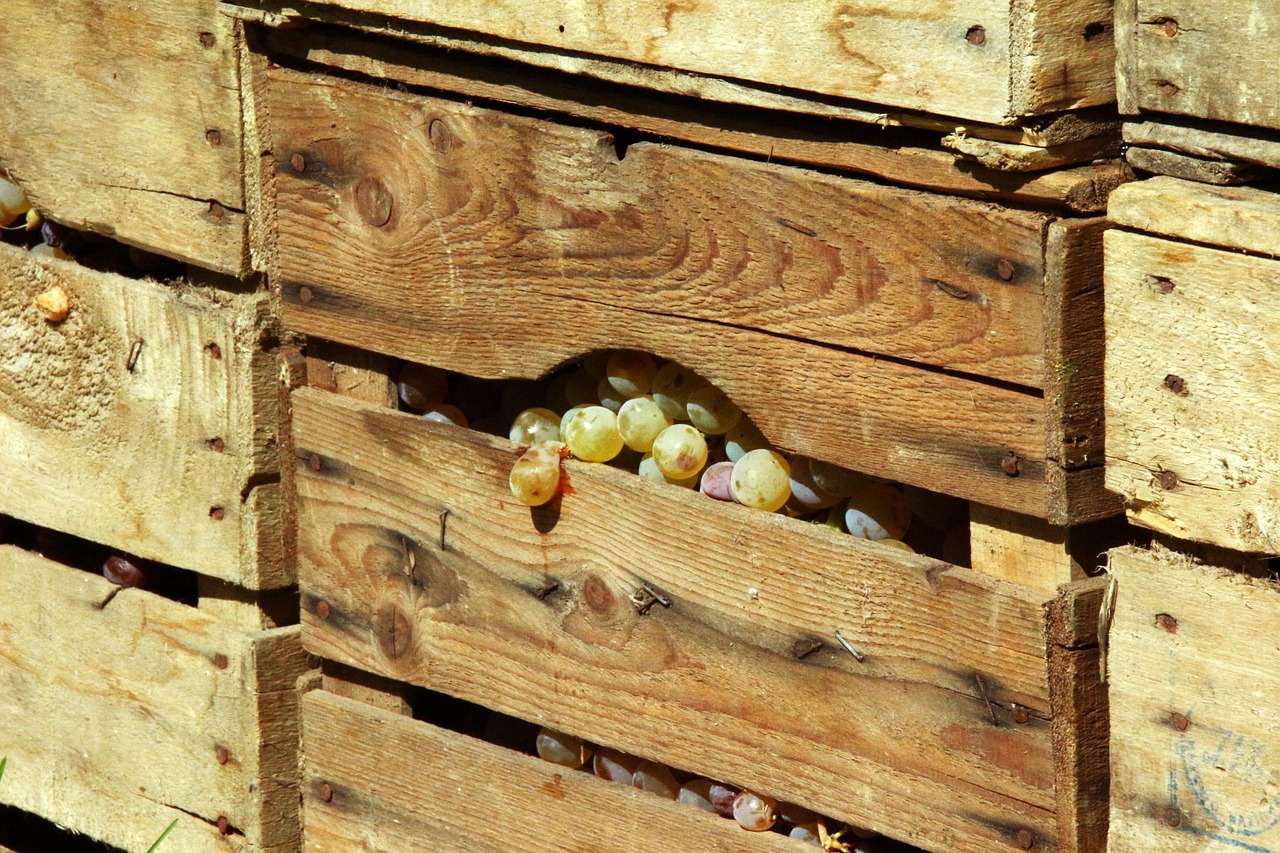 erfahren sie alles über den faszinierenden prozess der fermentation, seine vorteile und anwendungen in der lebensmittelherstellung.