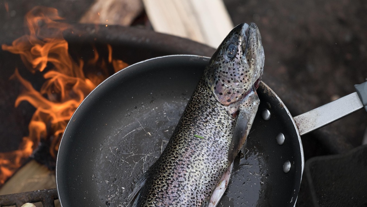 gründliche anleitung zur fischzubereitung: tipps und techniken für frischen und schmackhaften fischgenuss.