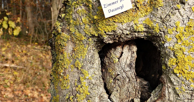 Die unterschätzte Hürde: Wohnungssuche in Schweden