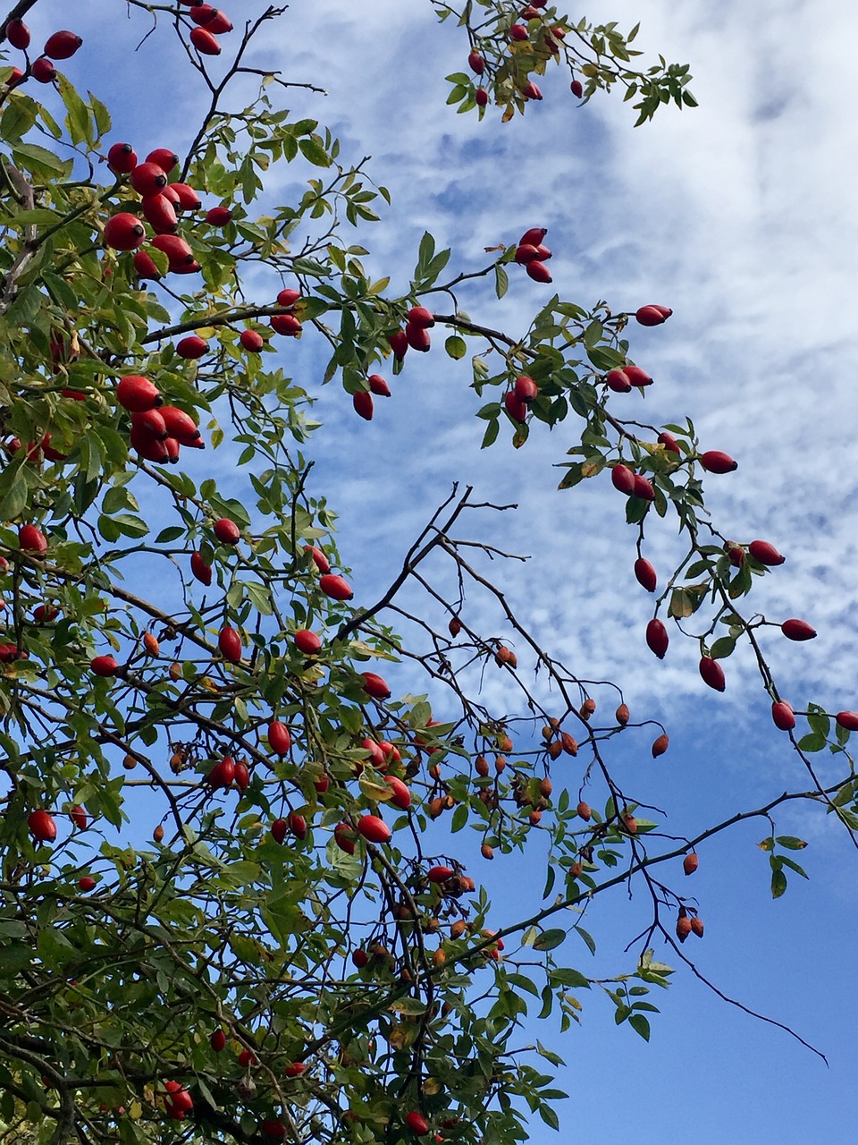 entdecken sie tipps und strategien für gesunden schlaf, die ihre lebensqualität verbessern und ihr wohlbefinden steigern.