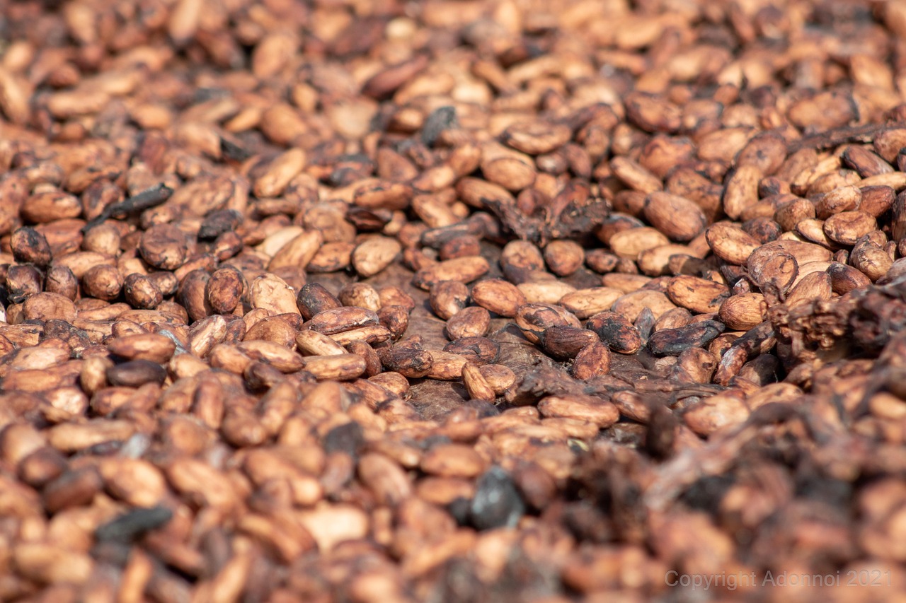 erfahren sie alles über den prozess der fermentation, seine vorteile und anwendungen in lebensmittelherstellung und biotechnologie.